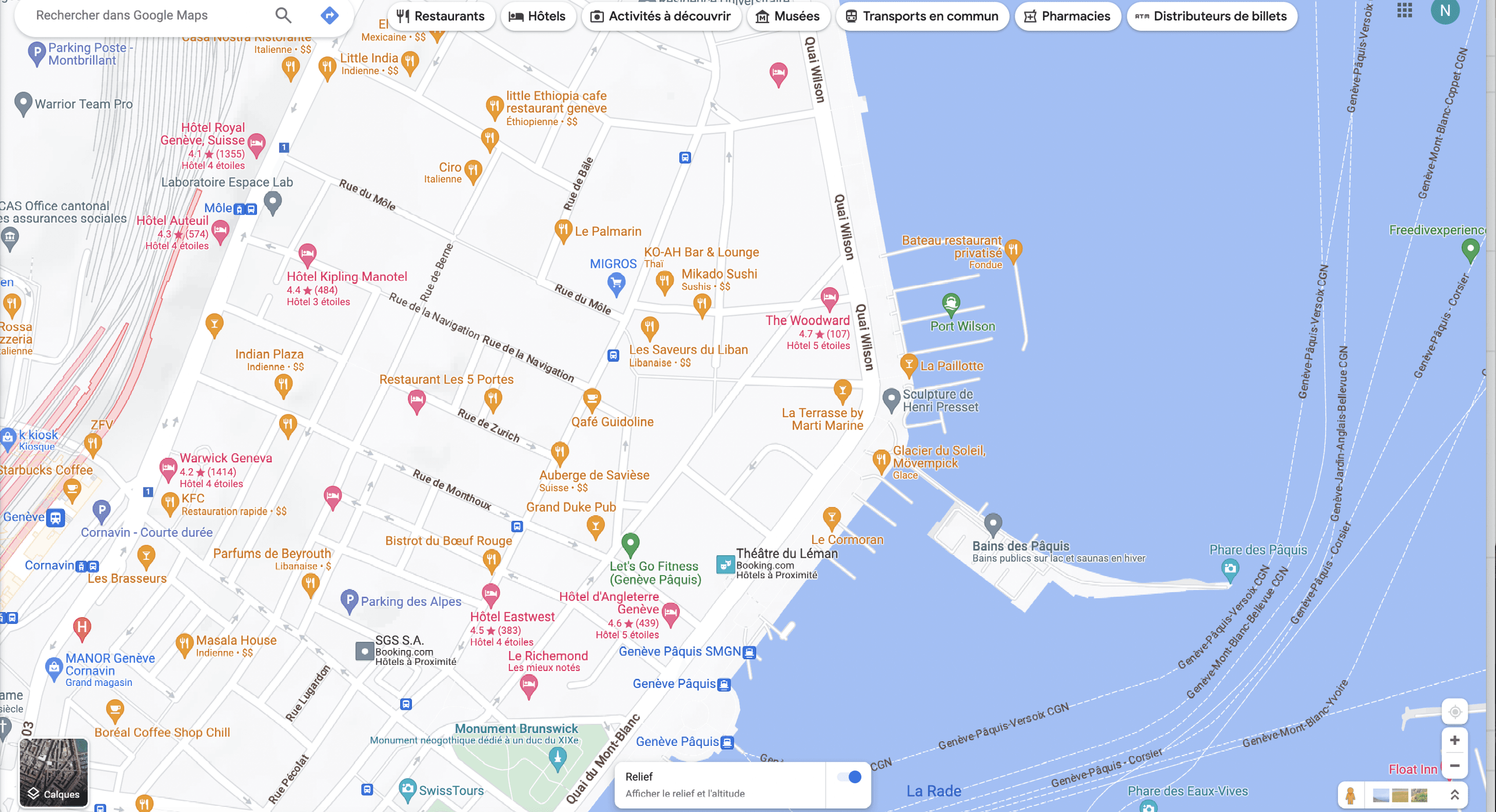 Carte Google